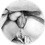 tray-icon