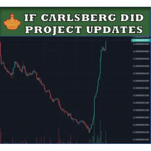 IF CARLSBERG DID PROJECT UPDATES
