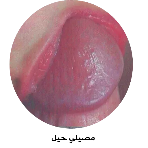 tray-icon